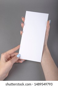 A Woman Holding White Booklet. Identity Template