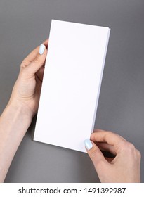 A Woman Holding White Booklet. Identity Template