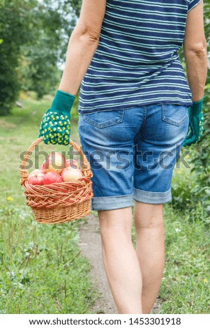 Similar – Image, Stock Photo Little girl woman carrying wicker basket with fresh organic apples