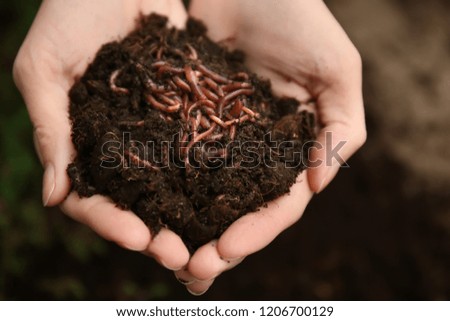 Woman holding worms with soil, closeup