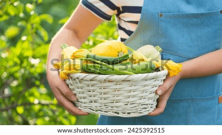 Woman holds a basket full of young zucchini with flowers. Selective focus.