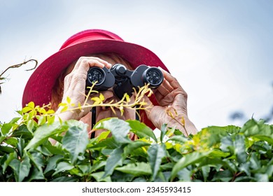 A woman holds binoculars and wears a hat. She watches secretly and intensely over a green hedge. - Powered by Shutterstock