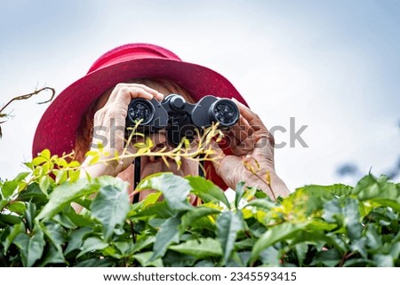 A woman holds binoculars and wears a hat. She watches secretly and intensely over a green hedge.