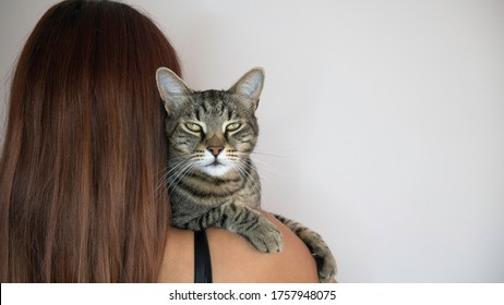 The woman holds the cat over her shoulder. The cat looks straight into the camera. Negative space. Copy space for text.