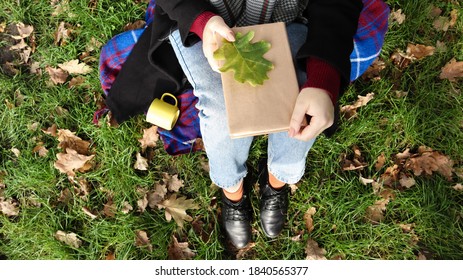 A Woman Holds A Closed Book Lying On Her Lap With A Fallen Oak Leaf In A Park On A Sunny Warm Autumn Day On A Green Meadow. The Concept Of Relaxation, Reading And Relaxation Alone. Top View, Flat Lay.