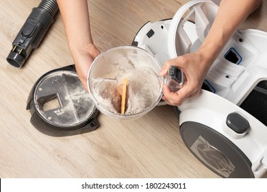 Woman Holds In Her Hands Container From Vacuum Cleaner Filled With Animal Hair Fur, Cat Or Dog Hair. Pet Allergy