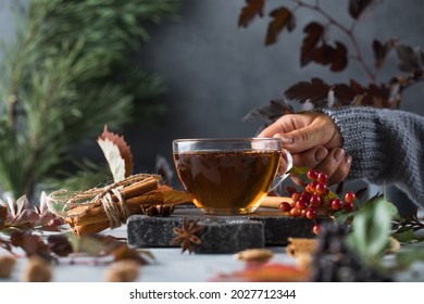 A woman holds a mug of delicious freshly brewed tea in her hand. The concept of autumn time