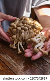 A woman holds mushrooms in her hands. Mushrooms close-up. Natural fresh organic vegetables. Healthy food, raw food diet. Vegetarian life. Proper nutrition. Ready to eat. Eco product - Shutterstock ID 2207242919