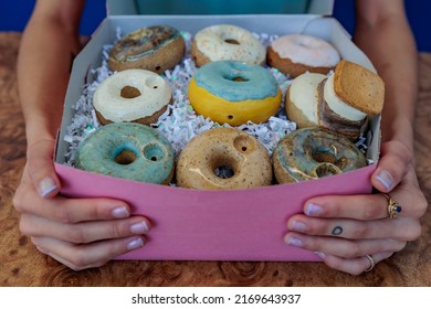 A Woman Holds A Pink Donut Box Filled With Pipes Shaped Like Brightly Colored Donuts. 