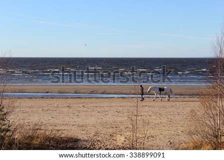 The woman with a horse on the beach