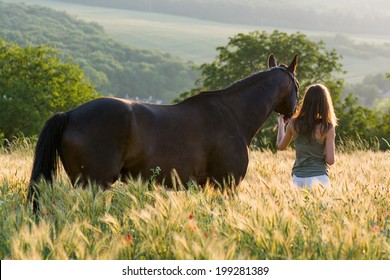 woman and horse training during sunset