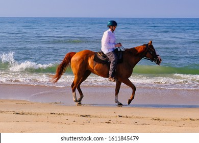 A Woman Horseback Riding At The Beach