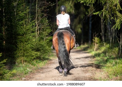 Woman Horseback Riding In Forest