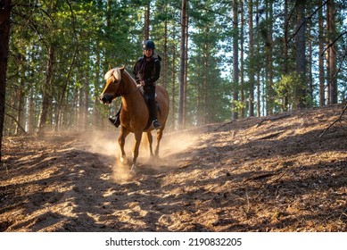 Woman Horseback Riding In Forest