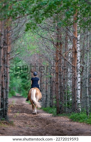 Woman horseback riding in forest and field