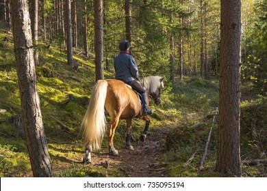 Woman Horseback Riding In Forest Path