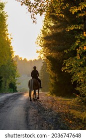 Woman Horseback Riding On Trail