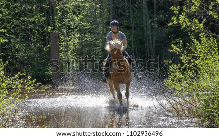 Woman horseback riding on water