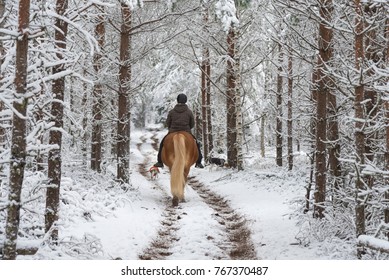 Woman Horseback Riding In Winter