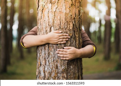 Woman Hug The Tree With Love