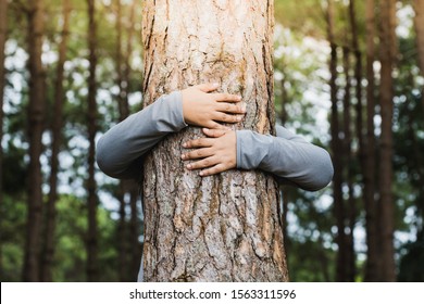 Woman Hug The Tree With Love