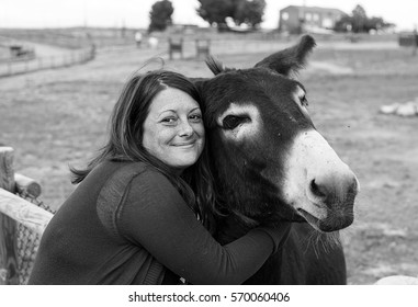 Woman Hugging Donkey On Farm, Animals And Nature