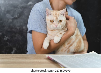 A Woman Hugging Ginger Cat,relaxing.