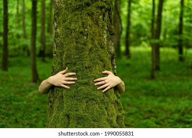 Woman Hugging Green Tree In Forest, Embracing Tree Trunk With Hands. Giving Hug To Old Tree - Concept Of Nature Love, Sustainable Development And Environment Protection