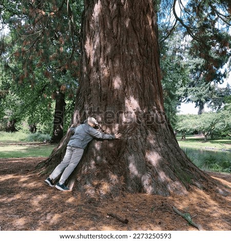 A woman hugging a sequoia tree in ashburton New Zealand 