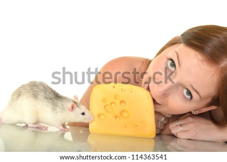 Similar – Image, Stock Photo White hamster eating