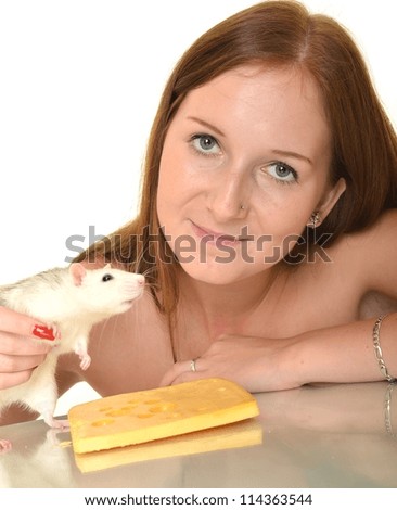 Similar – Image, Stock Photo White hamster eating