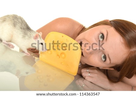 Similar – Image, Stock Photo White hamster eating