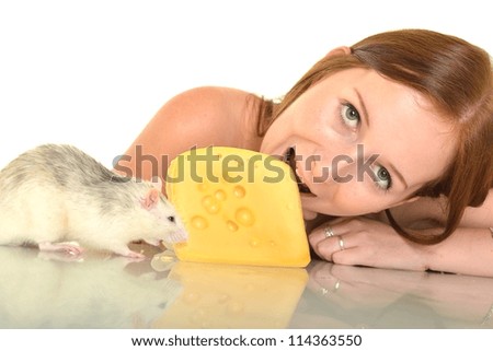 Similar – Image, Stock Photo White hamster eating