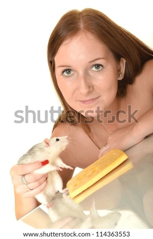 Similar – Image, Stock Photo White hamster eating