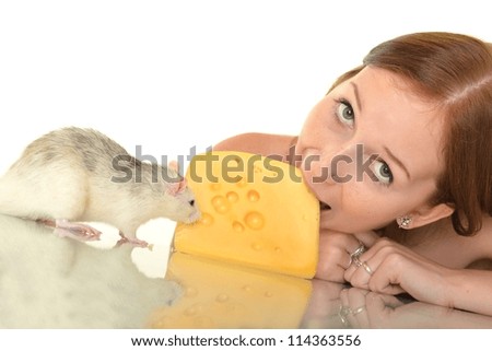 Image, Stock Photo Hamster eating Cheese