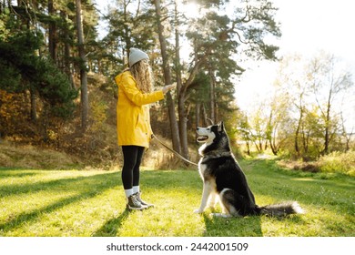 A woman with a husky breed dog smiles and affectionately strokes her beloved dog while walking in nature in the park. Concept of fun, entertainment. - Powered by Shutterstock