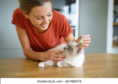 Woman Injecting Cat Product To Prevent From Fleas