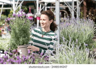 Woman inspects pot with houseplant lavender in store for amateur gardeners. Buyer reads name of flower on price tag. - Powered by Shutterstock