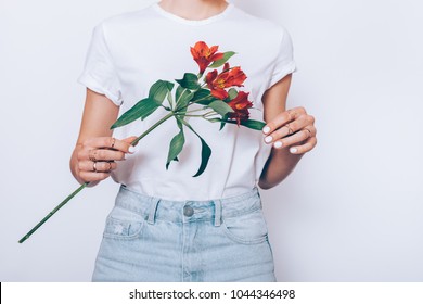 Woman in jeans and a T-shirt is holding a red flower on a white background, close-up