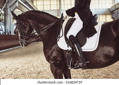 Woman Jockey With His Horse