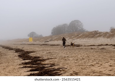 Woman Jogging with Her Dog on a Foggy Beach. Active Morning Walk Along a Misty Shoreline. - Powered by Shutterstock