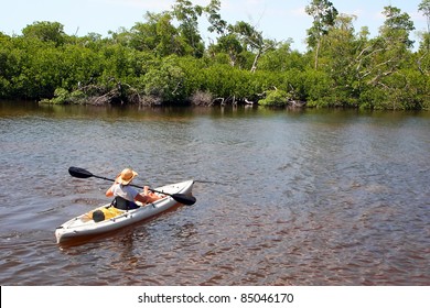 Woman In Kayak Darling Wildlife Refuge Sanibel Florida