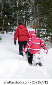 Woman And Kid Snowshoeing In The Woods Deep Snow