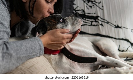 Woman Kissing A Boxer Dog