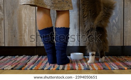 Woman in kitchen teases cat with meat, cat wants to eat. Playful interaction captured as cat wants to eat. Cat wants to eat, eagerly waiting for meal, ideal for pet and behavior content.