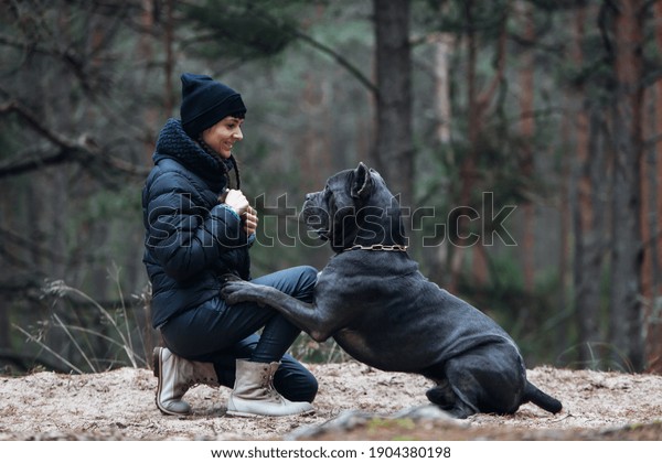 Hakuun Woman Large Brindle Colored Cane Corso Liittyva Arkistovalokuva Muokkaa Nyt 1904380198