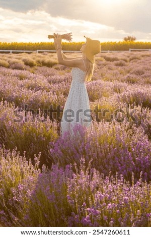 Similar – #A# Picking lavender Art