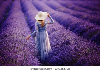 Woman In Lavender Flowers Field At Sunset In Purple Dress. France, Provence.