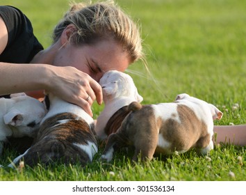 Woman Laying In The Grass Playing With Litter Of Bulldog Puppies