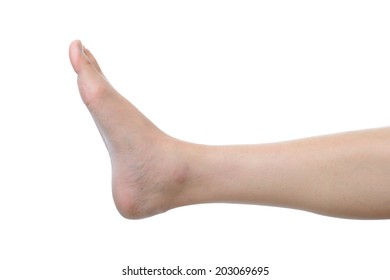 Woman Leg Isolated On White Background Stock Photo 203069695 | Shutterstock